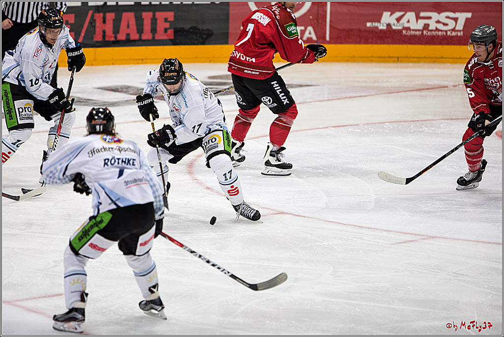 Koelner Haie - Straubing Tigers, 03.10.2016